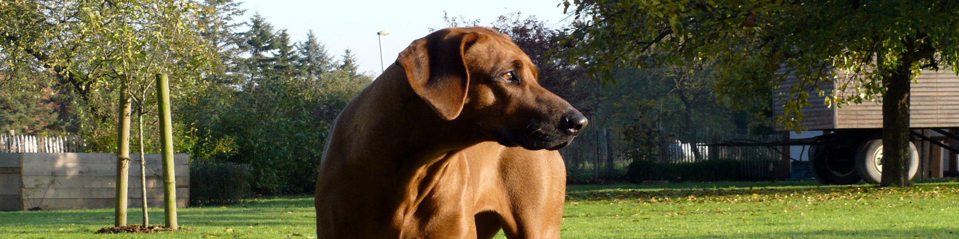 VEREEENIGING Afra